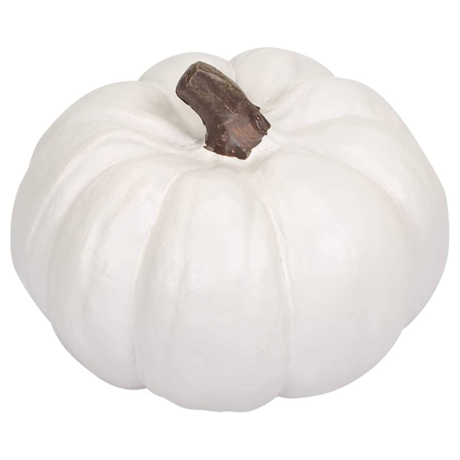 Elanze Designs Classic White 6 inch Resin Harvest Decorative Pumpkin | Amazon (US)