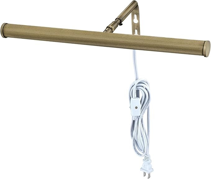 Westinghouse Lighting 7500600 14" LED Picture Light, AB 4 Watt | Amazon (US)