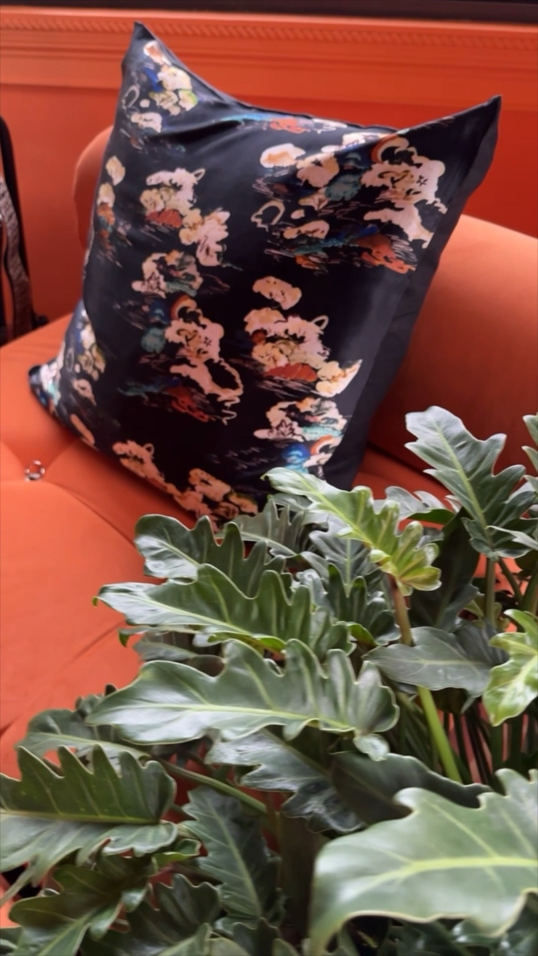 New accessories for the orange room. Love these silk
Throw pillows from #cb2

#LTKhome