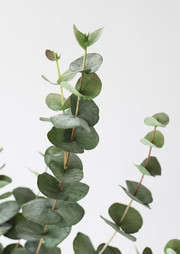Green Grey Artificial Spiral Eucalyptus Branch - 40" | Afloral (US)