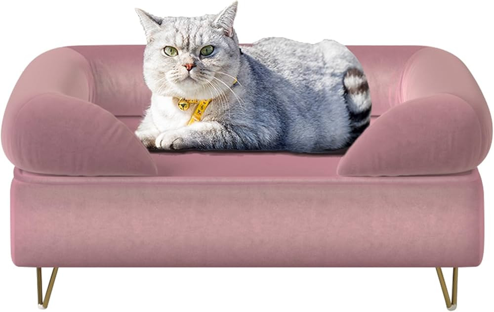 Dog Sofas and Chairs for Small Breeds,Dog Couch for Small Pet,Cat Sofa Chair with Soft Velvet Fab... | Amazon (US)