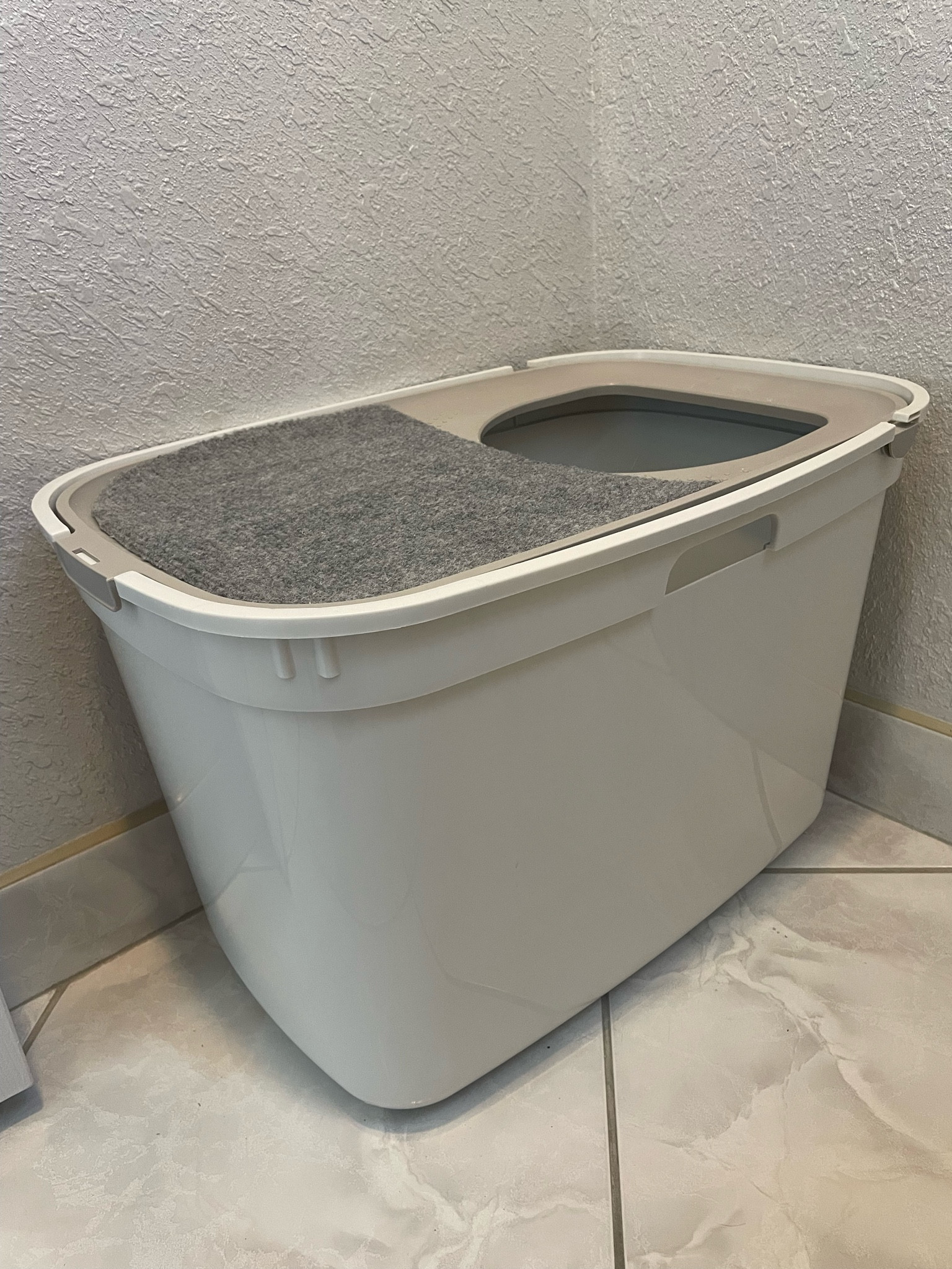 Top entry litter box! #cats #catfinds #litterbox #chewy 

#LTKunder50