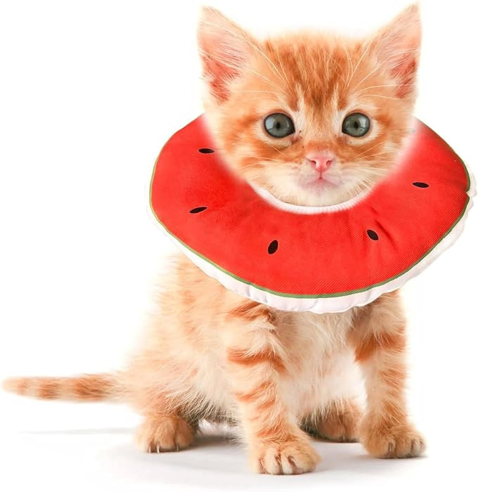 Kitten Cones After Surgery 0-6 Months, Donut Extra Small Kitten Cone Collar Soft to Stop Licking ... | Amazon (US)