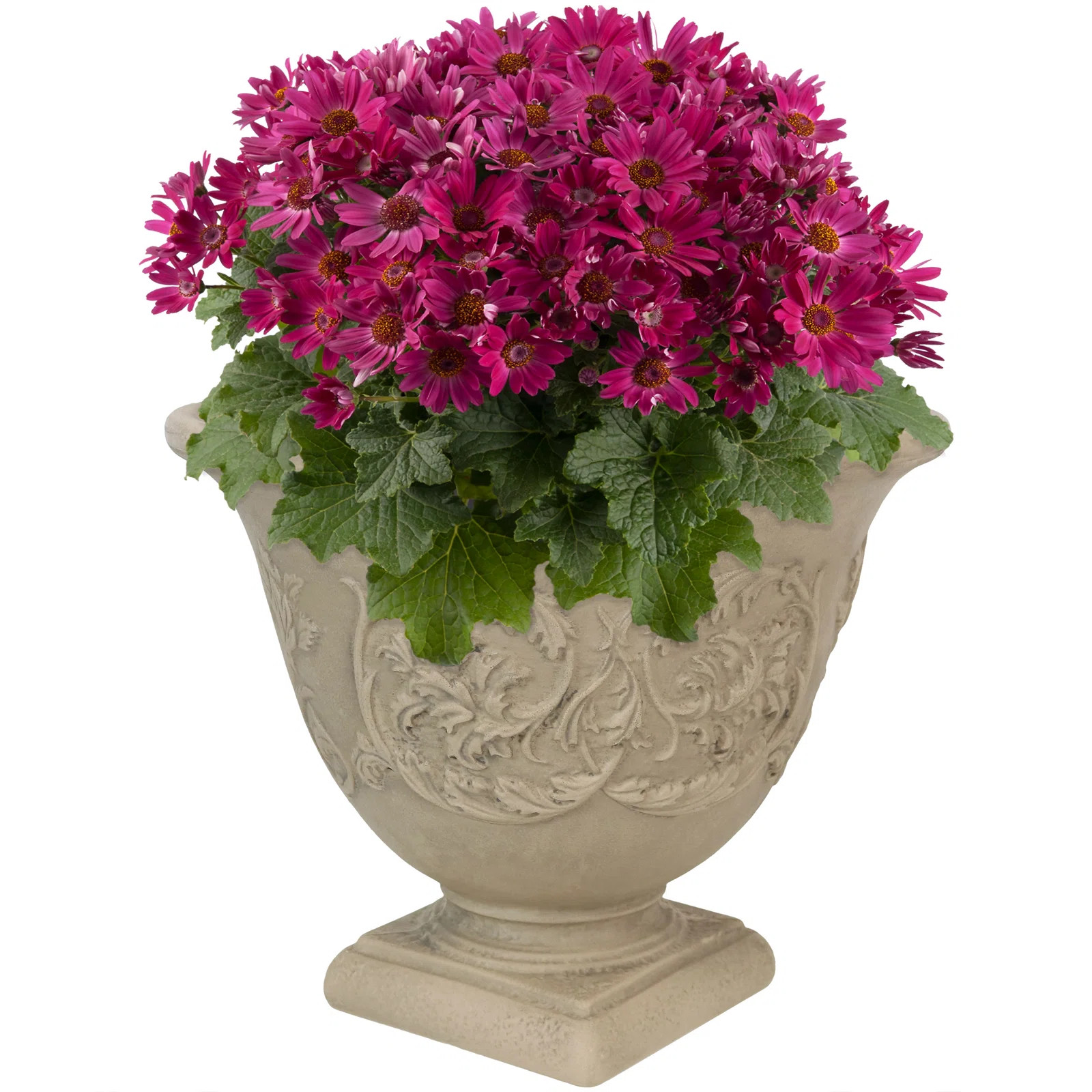 Darcy 16" x 16" x 13" Round Polyresin Urn Outdoor Planter Pot | Wayfair North America