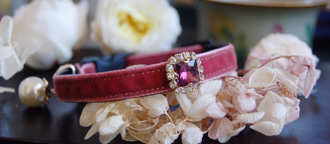 Beautiful Rhinestone Cat Collar, Dusky Rose Velvet Small Dog Collar,kitten Collar.tiny Dog Collar... | Etsy (US)