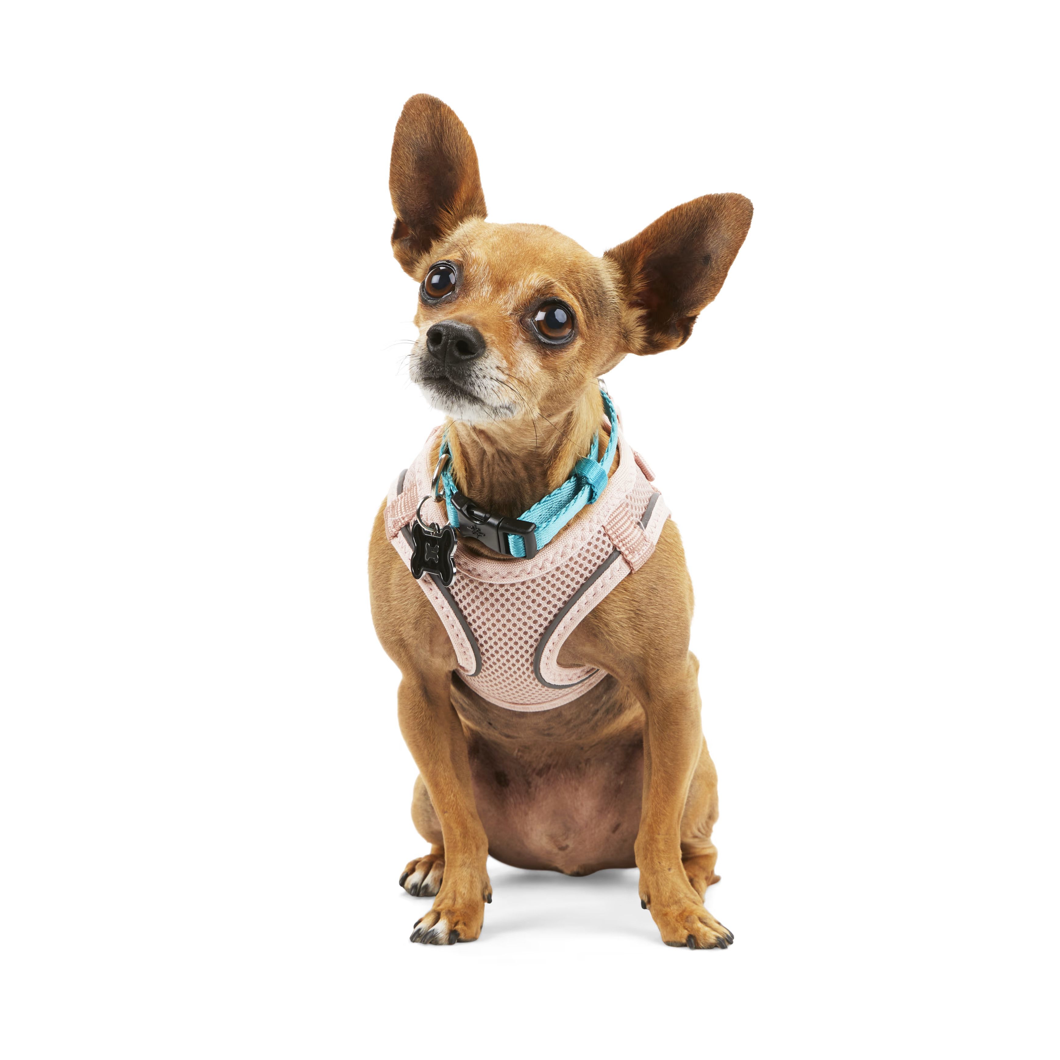 YOULY The Classic Pink Small Dog Harness, XX-Small/X-Small | Petco