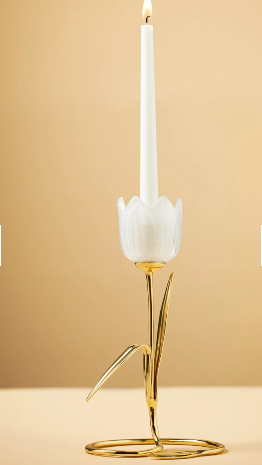 Obsessed with this tulip candlestick holder! It’s on sale now and comes in pink also!
Home style. House accessories  

#LTKHome #LTKFindsUnder50