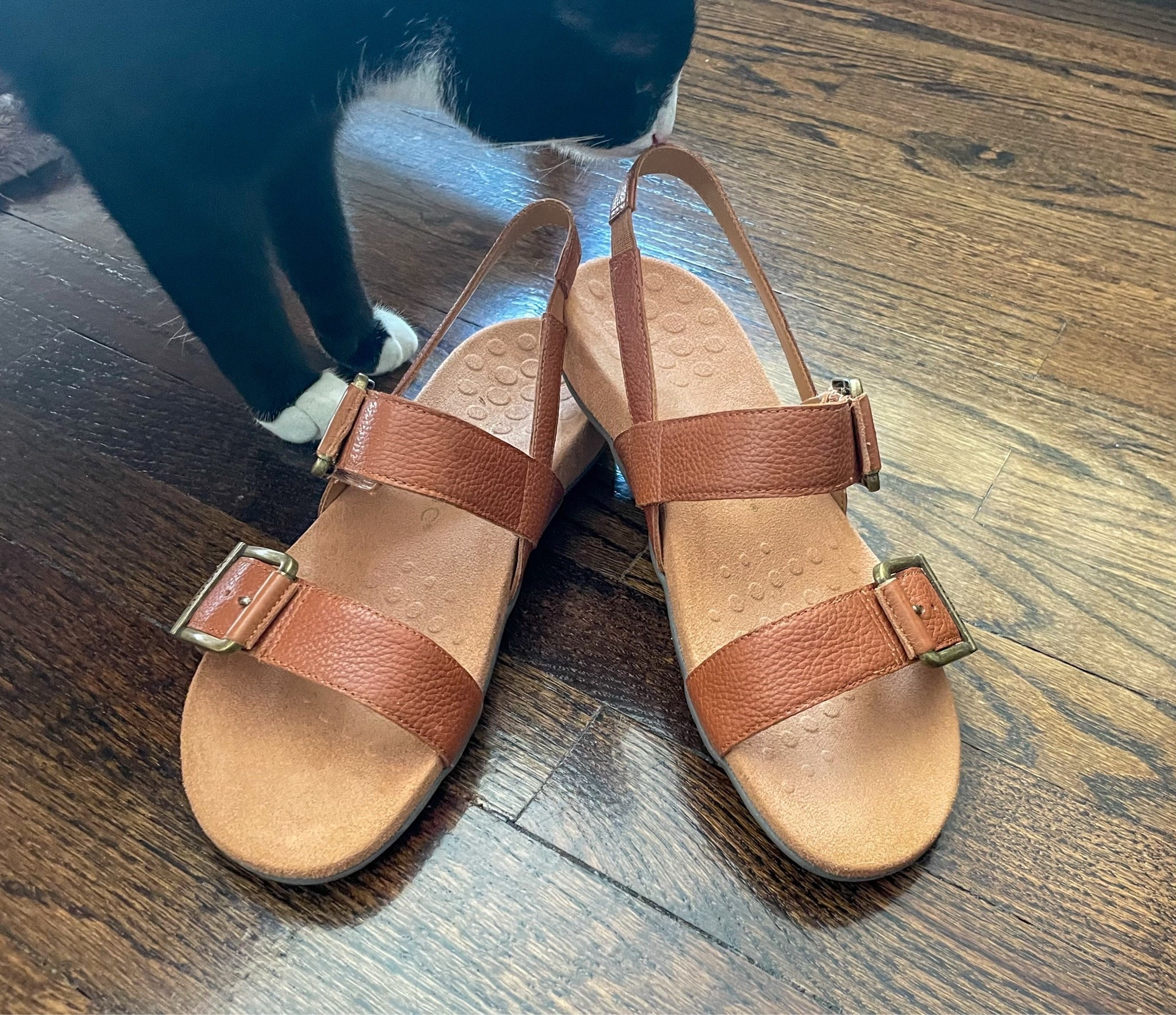 Vionic womens Reese Slingbacks on Amazon. 
More color options.

#LTKOver40