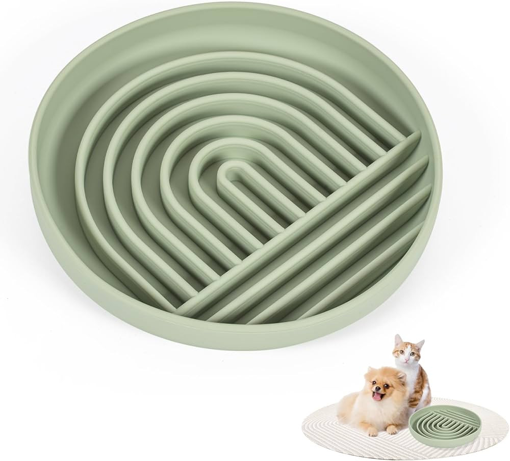 Slow Feeder Dog Bowl, Silicone Non-Slip Slow Feeder, Fun Maze Bloat Stop Dog Food Bowl, Anti-Chok... | Amazon (CA)