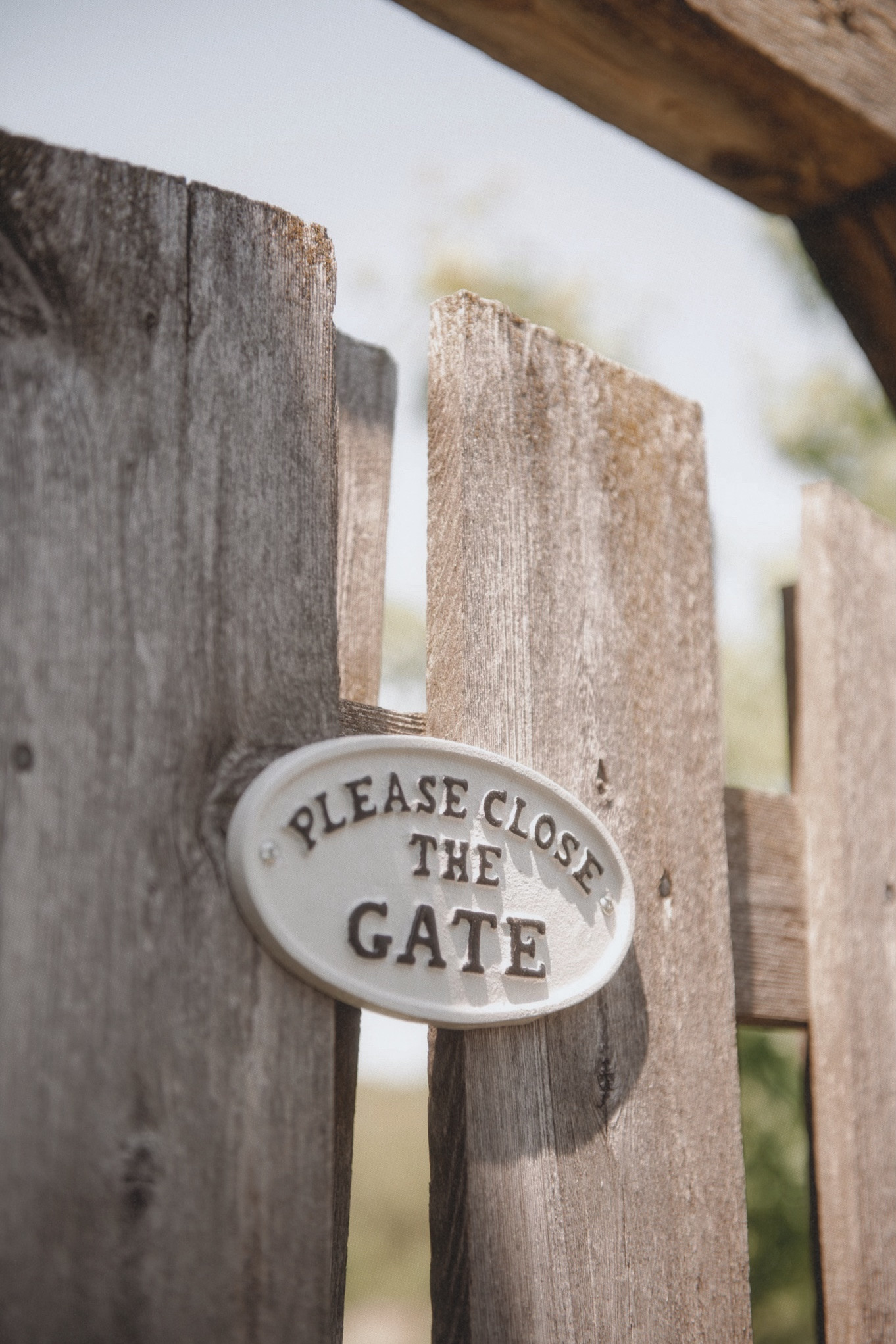 Only a couple more weeks before I start seeds for the year! Are you growing anything this year? 🌼

#LTKhome #LTKSeasonal