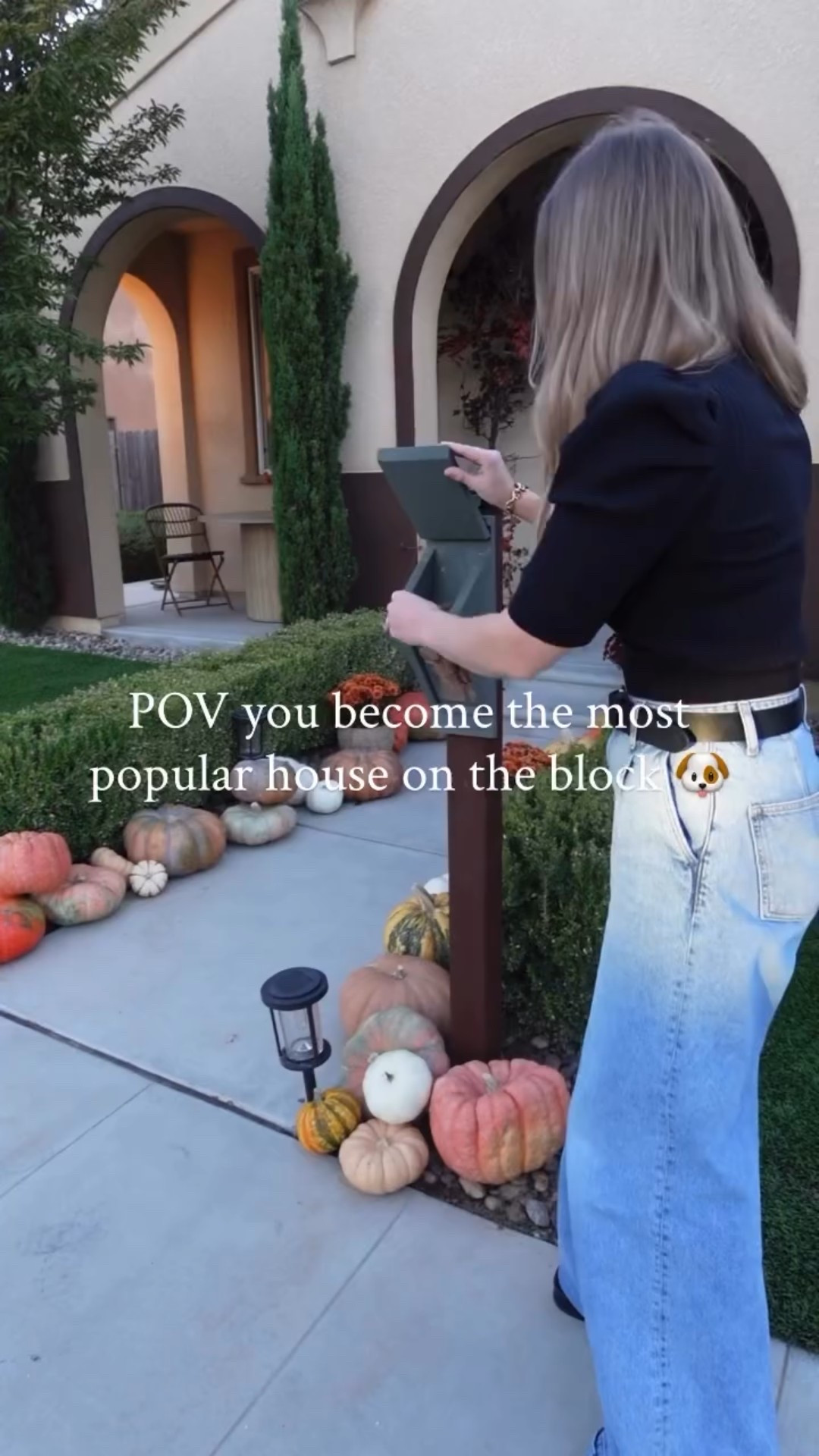 Officially the most popular house on the block (with the dogs, anyway 🐶).
Highly recommend a good dog biscuit box for all the goodest pups. It’s easily become the highlight of our day meeting all the neighborhood dogs . 🐾