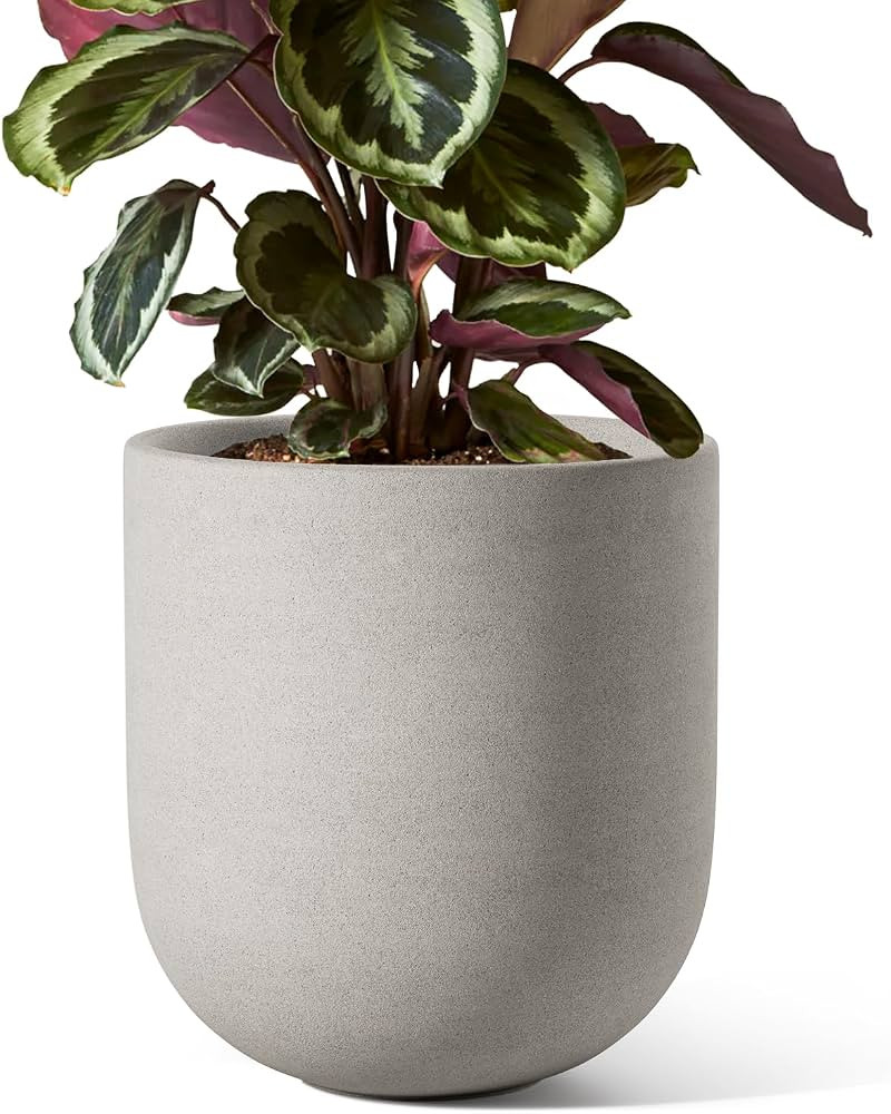 LE TAUCI 8 Inch Plant Pot, Ceramic Pot with Drainage Hole & Rubber Plug, Indoor Planter for Herbs... | Amazon (US)
