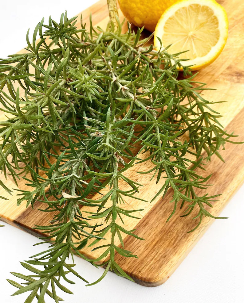 Artificial Rosemary Bush/rosemary/faux Rosemary/rosemary Decoration/rosemary Bush/butchers Rosema... | Etsy (US)