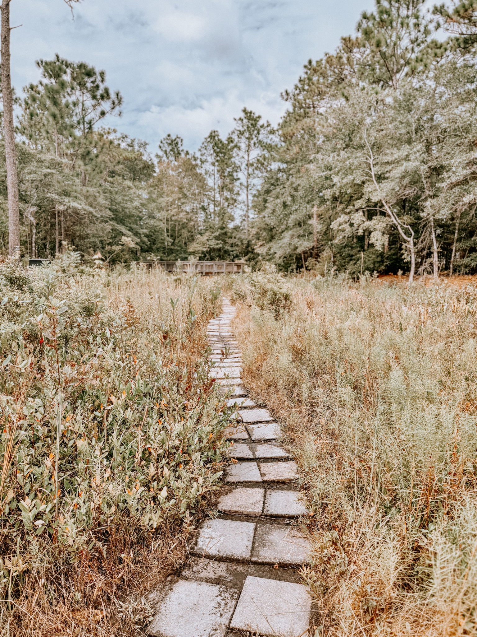 Fall hiking essentials for moms 🥾 

Get ready for leaf peeping and fun hikes with the kiddos! 🍁🍁

#LTKFamily #LTKTravel #LTKKids