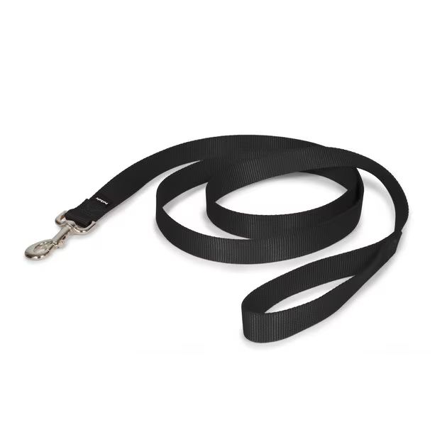 PETSAFE Premier Nylon Dog Leash, Black, 6-ft long, 1-in wide - Chewy.com | Chewy.com