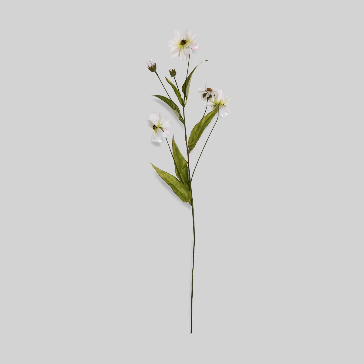 Faux Cosmos Stem 36" | Meadow-Style White Blooms | Bloomist, Inc