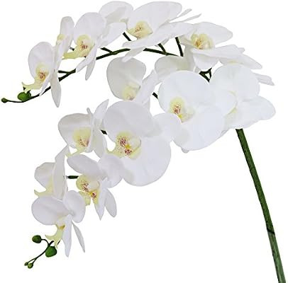 Htmeing 38 Inch Artificial Phalaenopsis Flowers Branches Real Touch (Not Silk) Orchids Flowers fo... | Amazon (US)