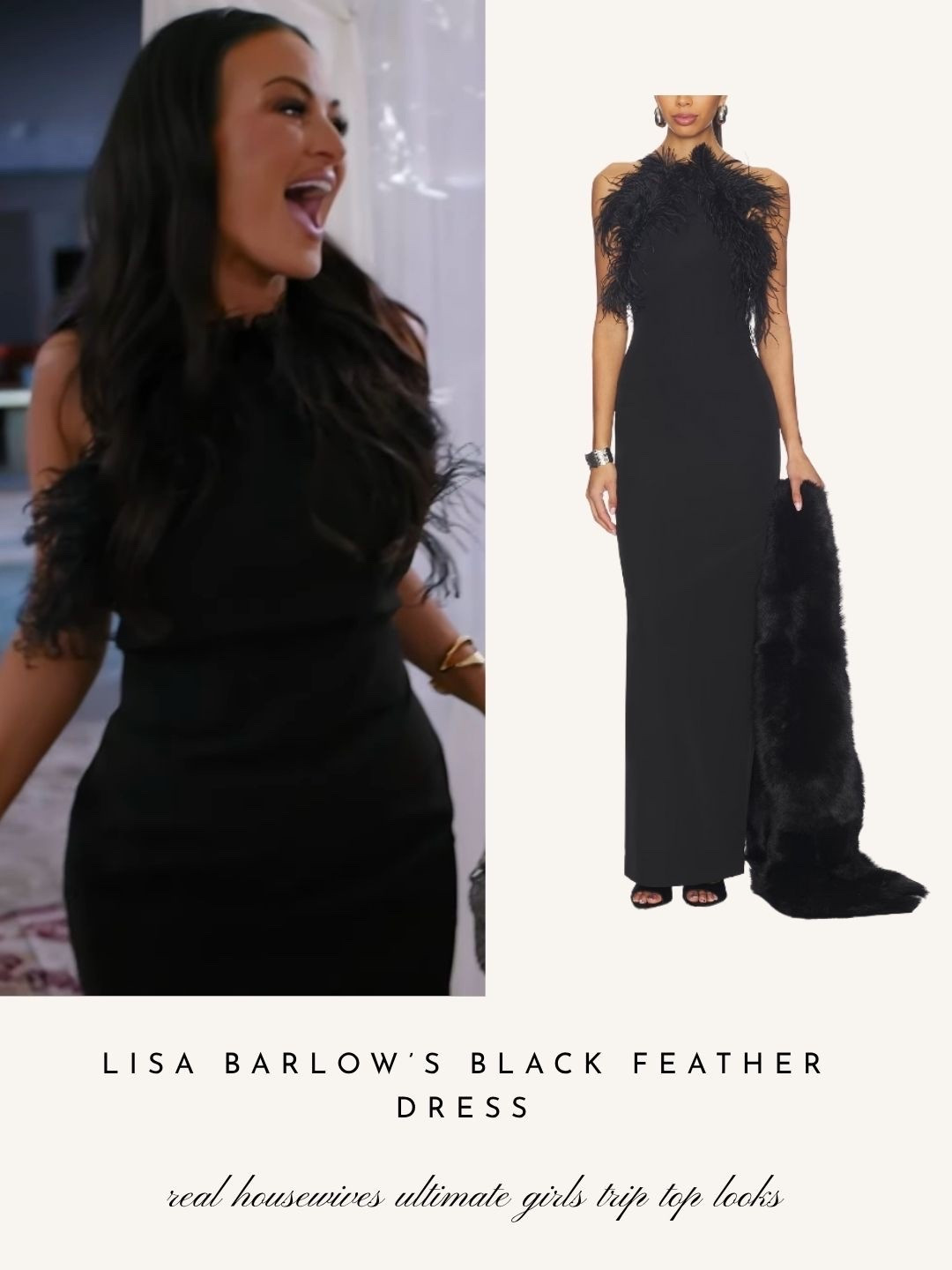 Lisa Barlow’s Black Feather Dress