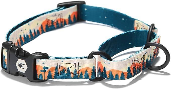 Wolfgang Man & Beast Premium Martingale Dog Collar for Small Medium Large Dogs, Made in USA | Amazon (US)