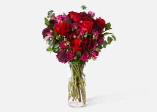 The Elixir | UrbanStems