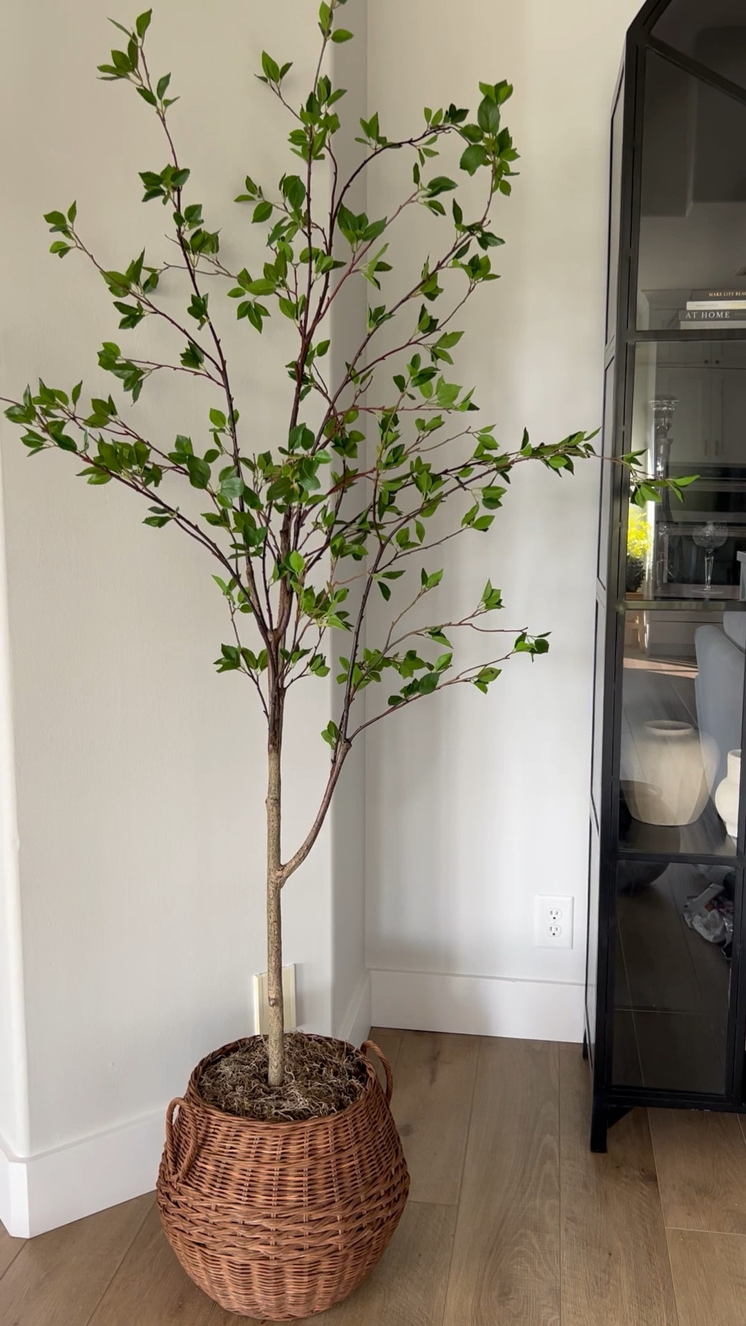 This gorgeous faux citrus tree is 30% off with code ROSE 



#LTKhome #LTKSeasonal #LTKsalealert