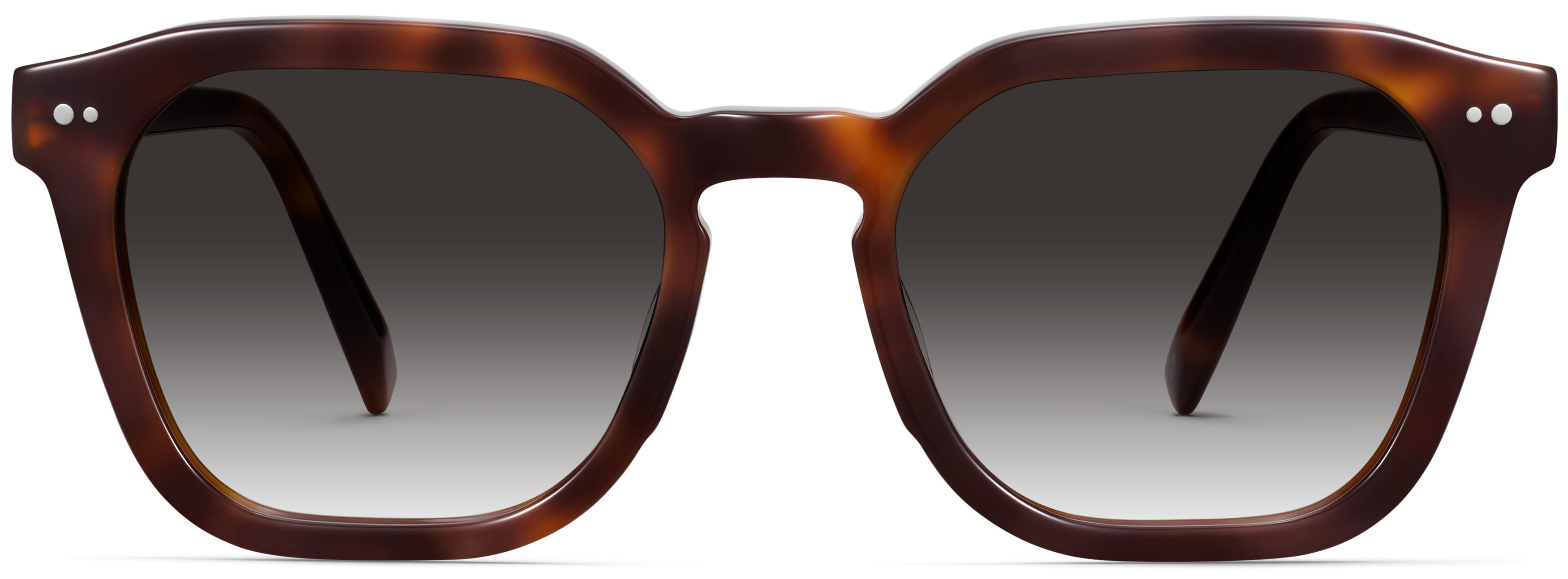 Tova Sunglasses in Cola Tortoise \u2014 Medium  | Warby Parker | Warby Parker (US)