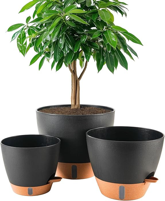 8/10/12 Inch Self Watering Pots for Indoor/Outdoor Plants - Large Plastic Planter with Drainage H... | Amazon (US)