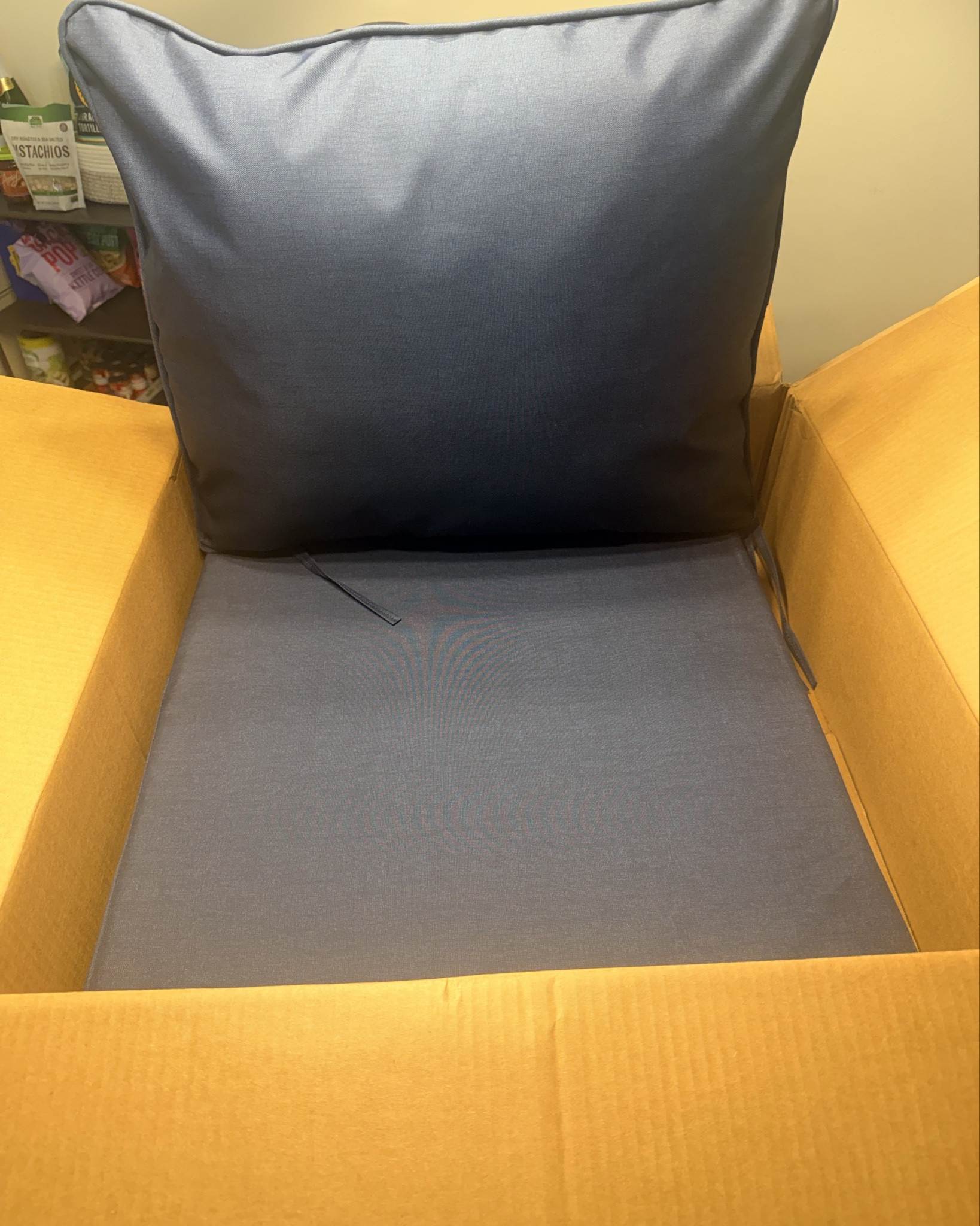 Just received this for free ARDEN PATIO CUSHION for being an influencer 

#LTKHome #LTKSeasonal