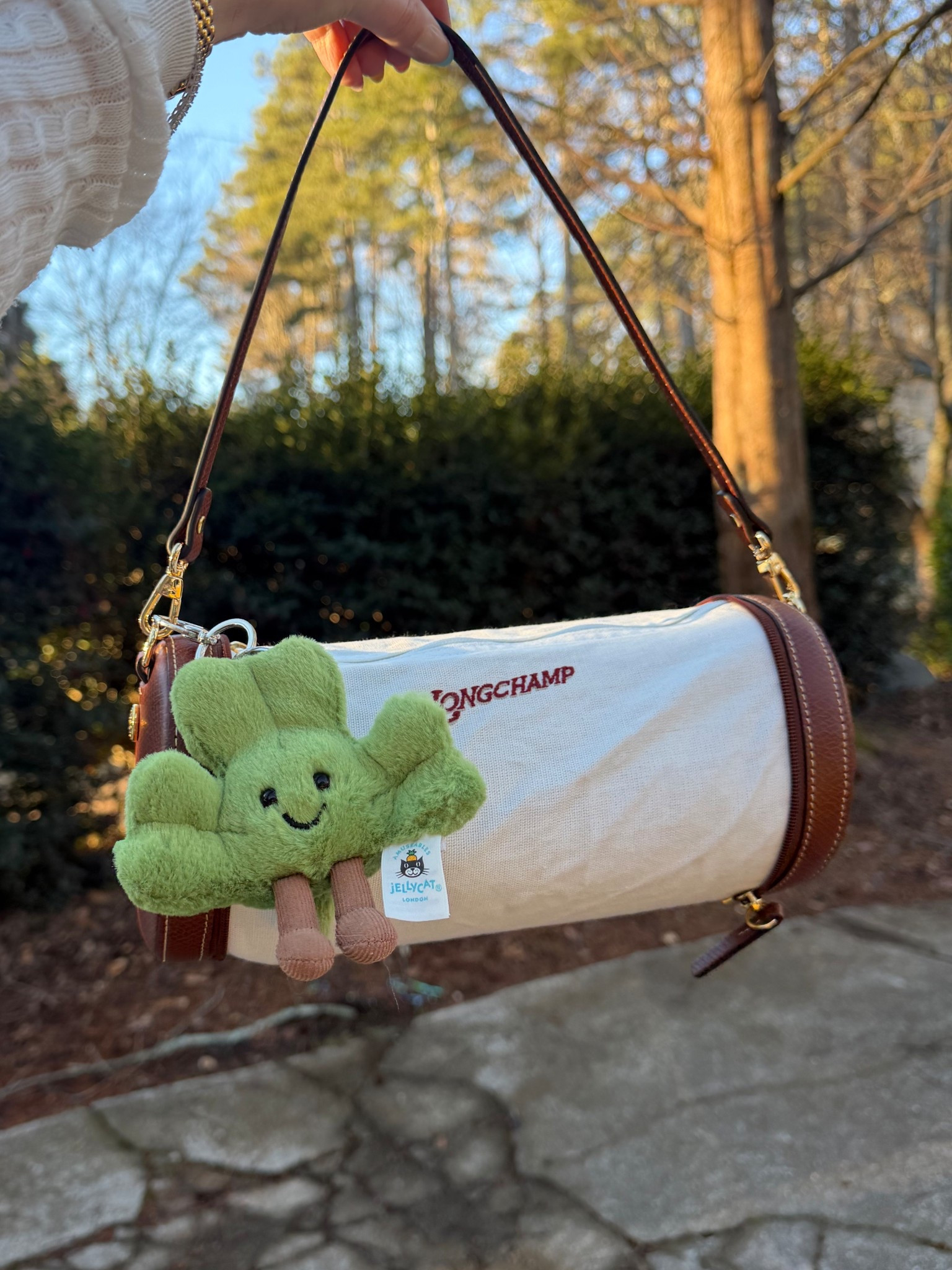 Bag of the day ☘️
Longchamp epure shoulder bag
Jelly cat shamrock st Patrick’s day bag charm 
Amusables 
