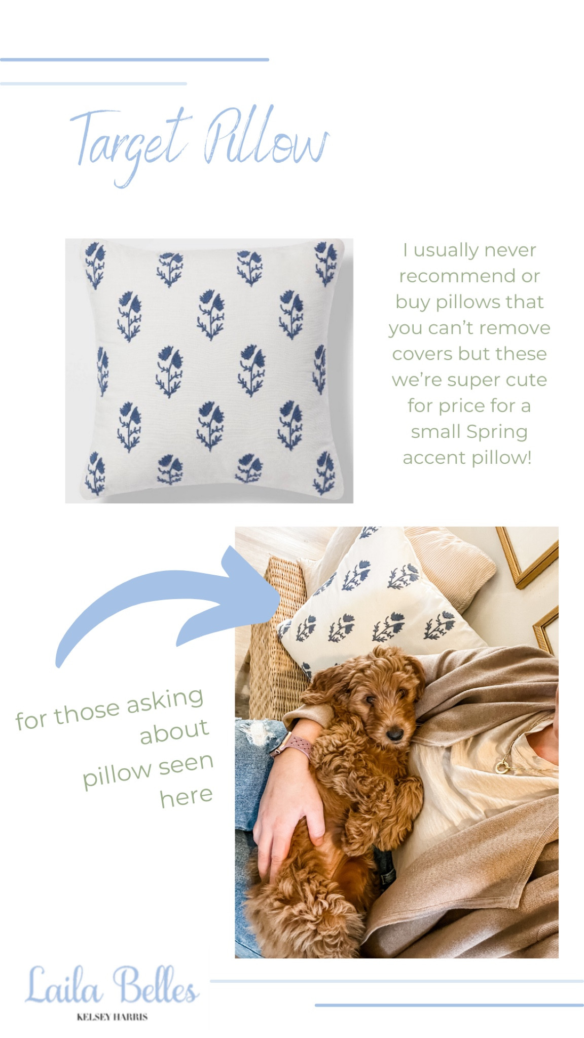 Cute accent pillow for Spring!
.
.
#targetspringfinds #springaccents #springdecor

#LTKunder50 #LTKhome #LTKSeasonal