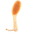 Click for more info about Skin Gym Body Brush from Revolve.com