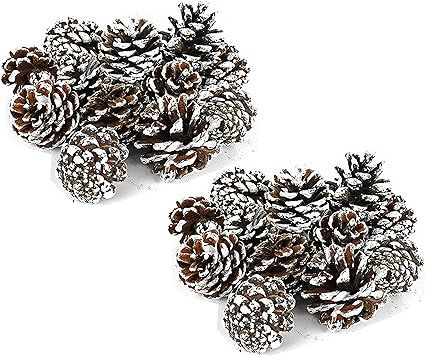Black Duck Brand Assorted Pinecone Christmas Table Scatter! Glitter Frosted Winter-Themed Pinecon... | Amazon (US)