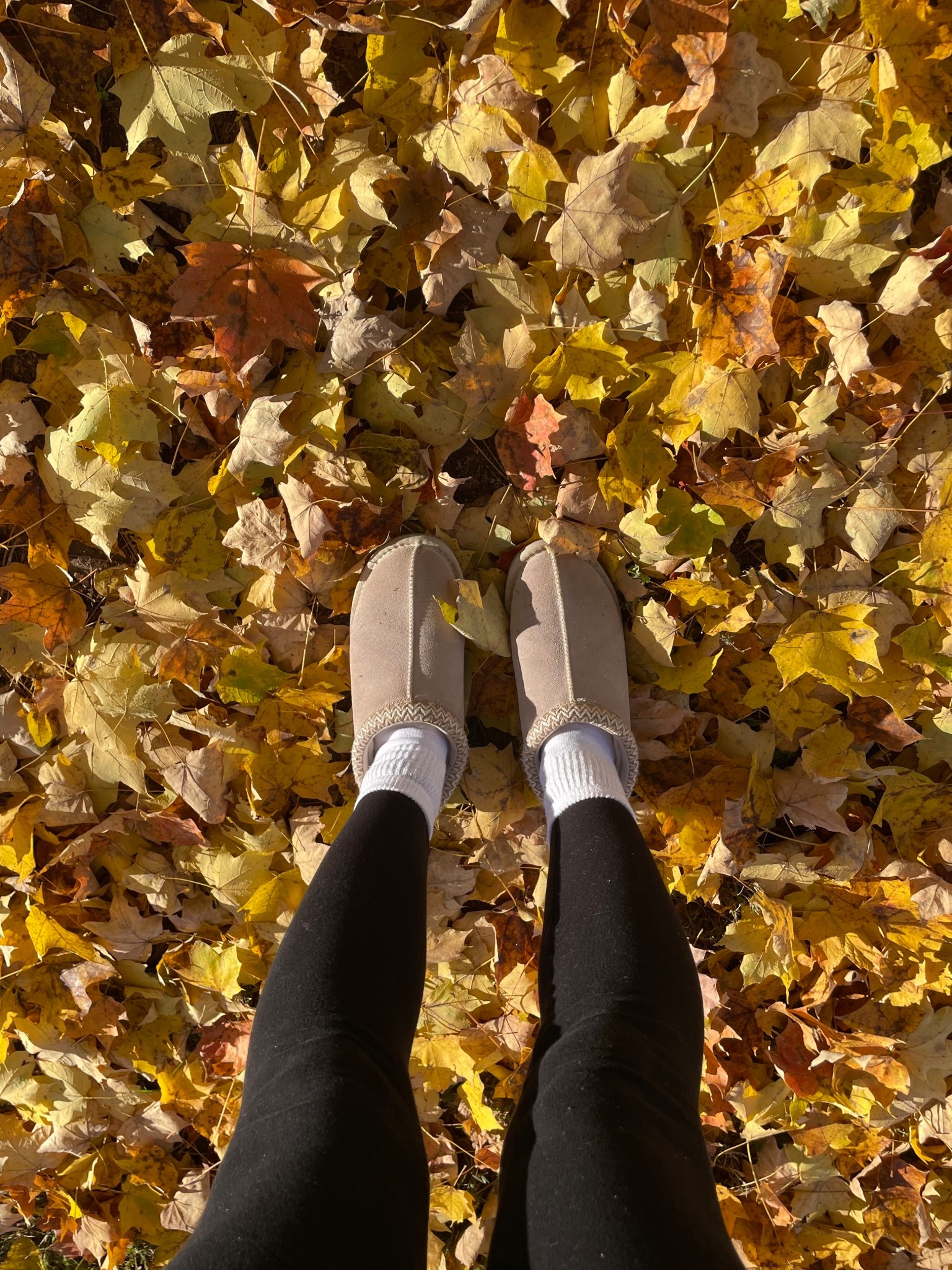 Obsessed with these Tazman dupes from Amazon! They keep my feet very warm and are super comfy. I wear them almost everyday and they have truly held up!! #uggdupes #shoes #wintershoes

#LTKFindsUnder100 #LTKootd #LTKPetite
