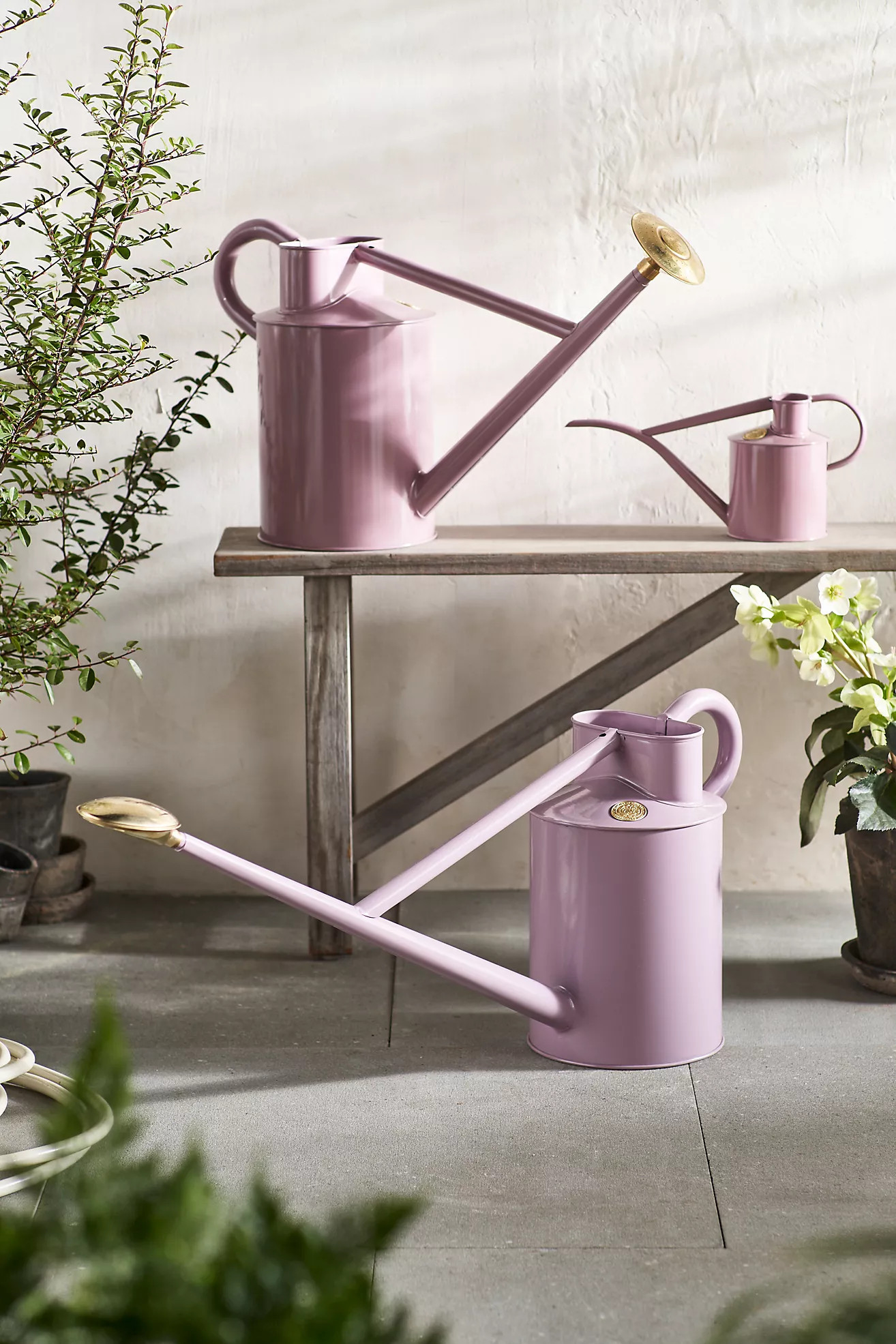 Haws 1 Liter Watering Can, Lilac | Terrain