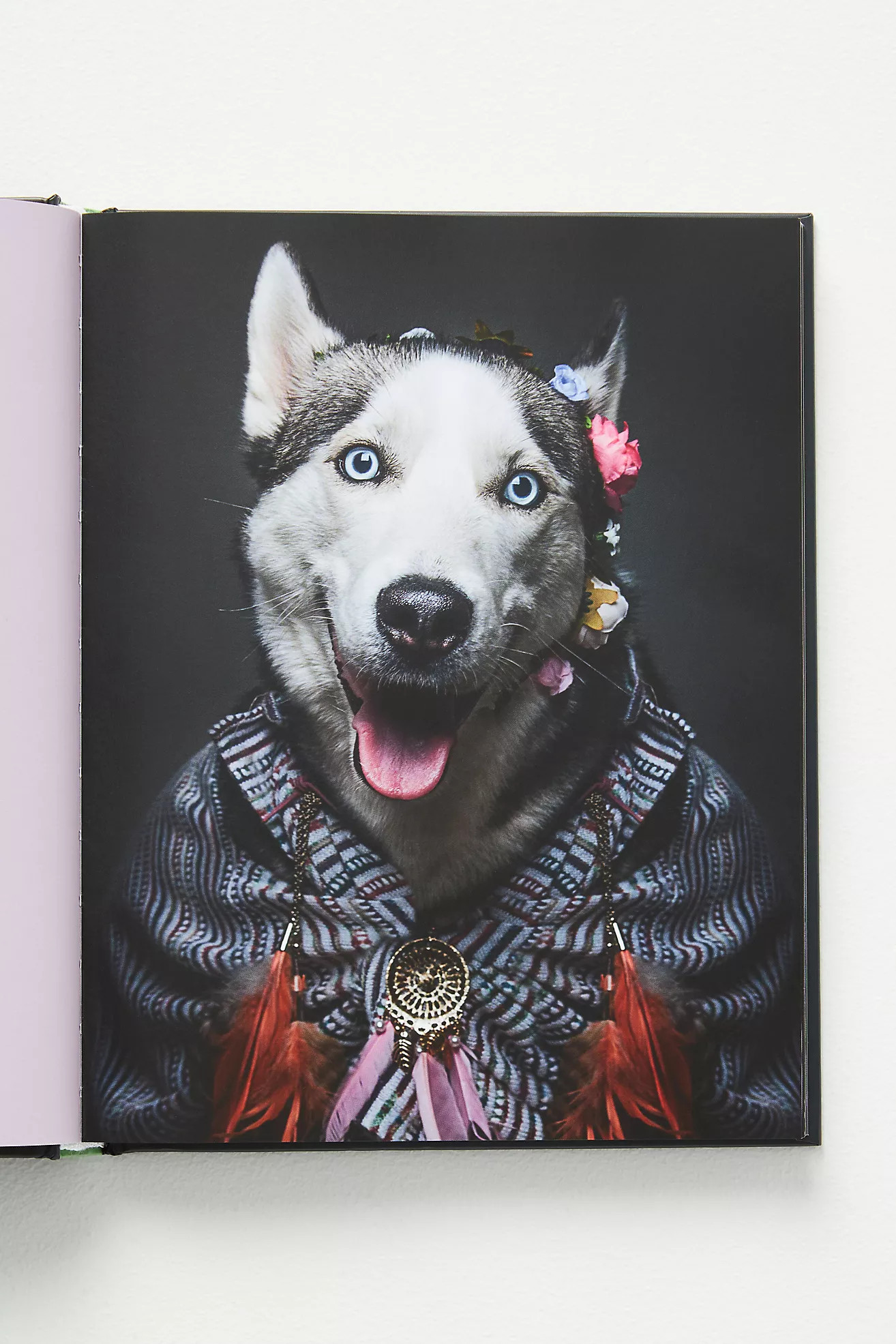 Dog People | Anthropologie (US)