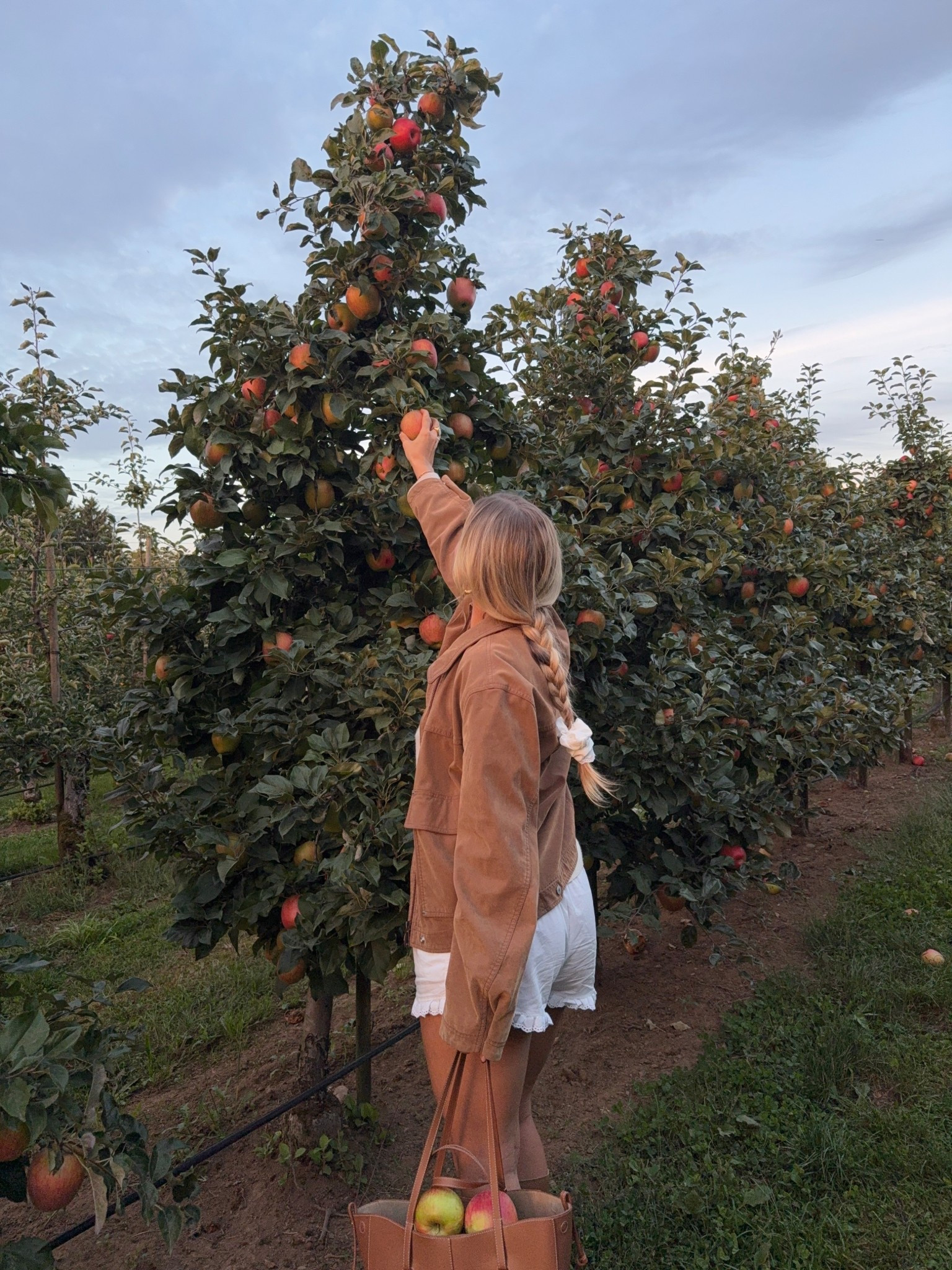 apple picking outfit 🍂 

#LTKStyleTip #LTKSeasonal #LTKFallSale