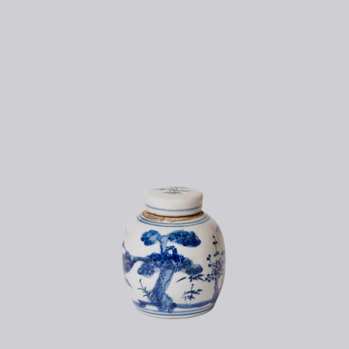 Blue and White Porcelain Mini Three Friends Round Jar | Wayfair North America