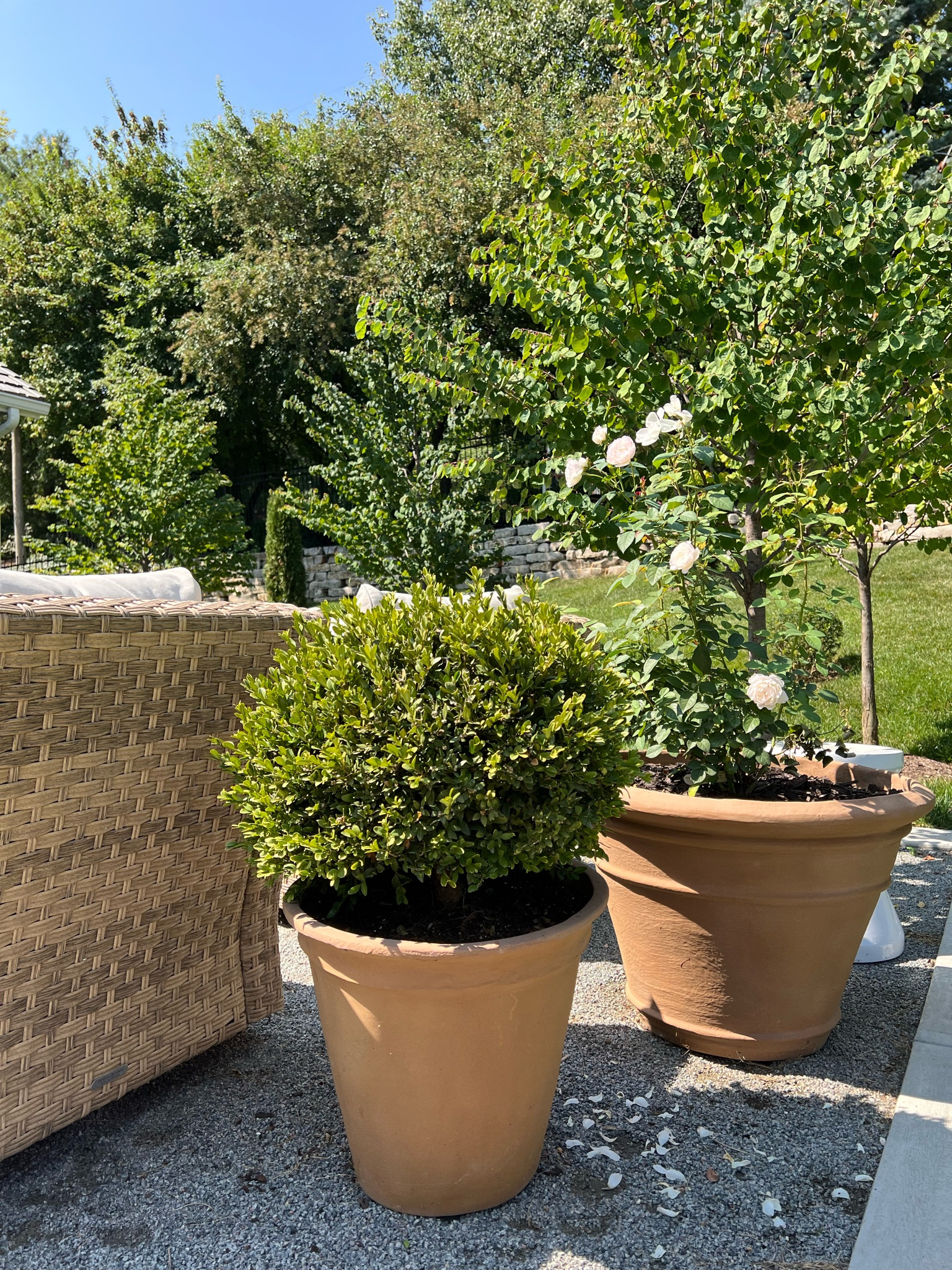 Planters, gardening planter, terracotta planter, all weather planter #LTKhome

#LTKSeasonal