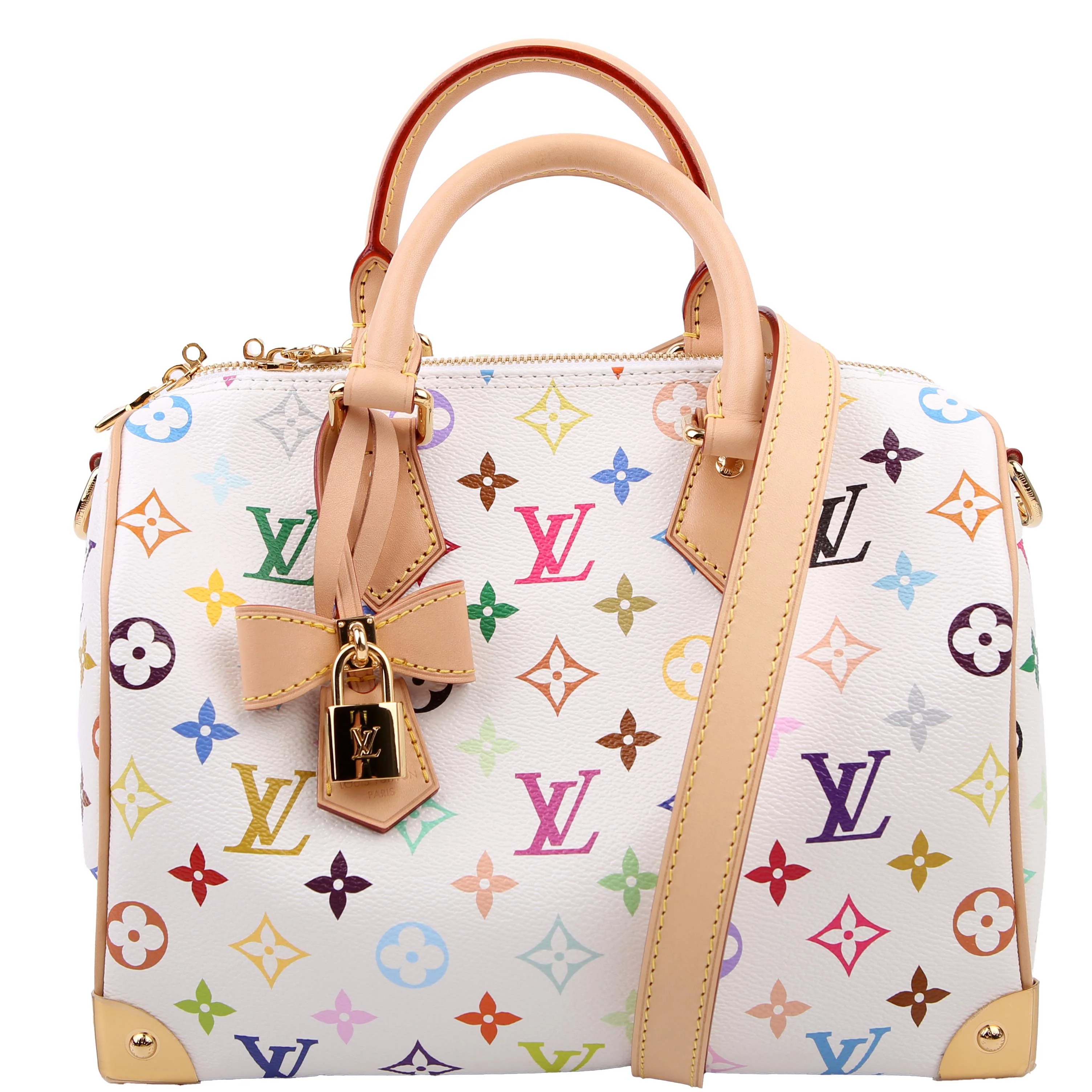LV x TM Speedy 25 Bandouliere Multicolor | Keeks Designer Handbags
