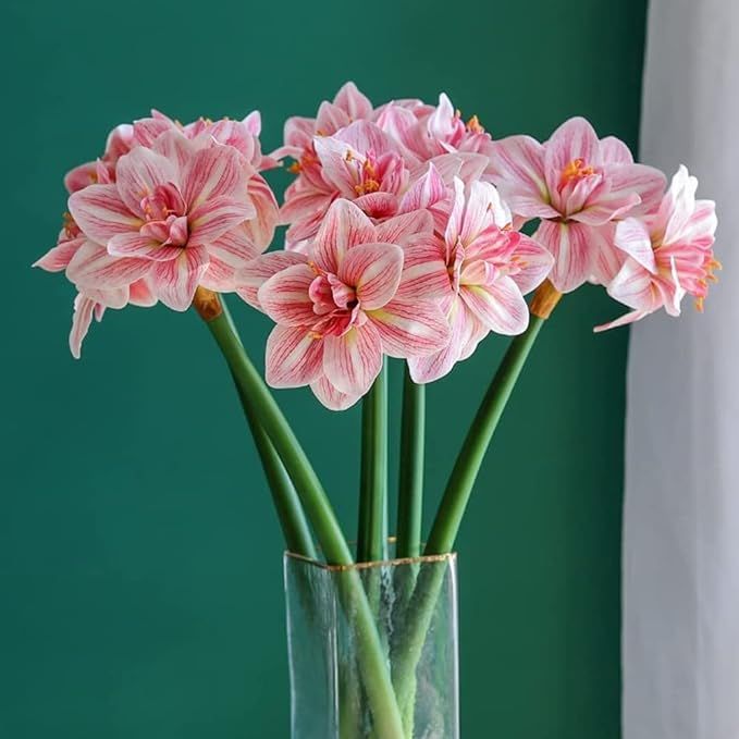 Pack of 6 - Artificial Amaryllis Flowers Stem Real Touch Large Tropical Flowers Household Plant f... | Amazon (US)
