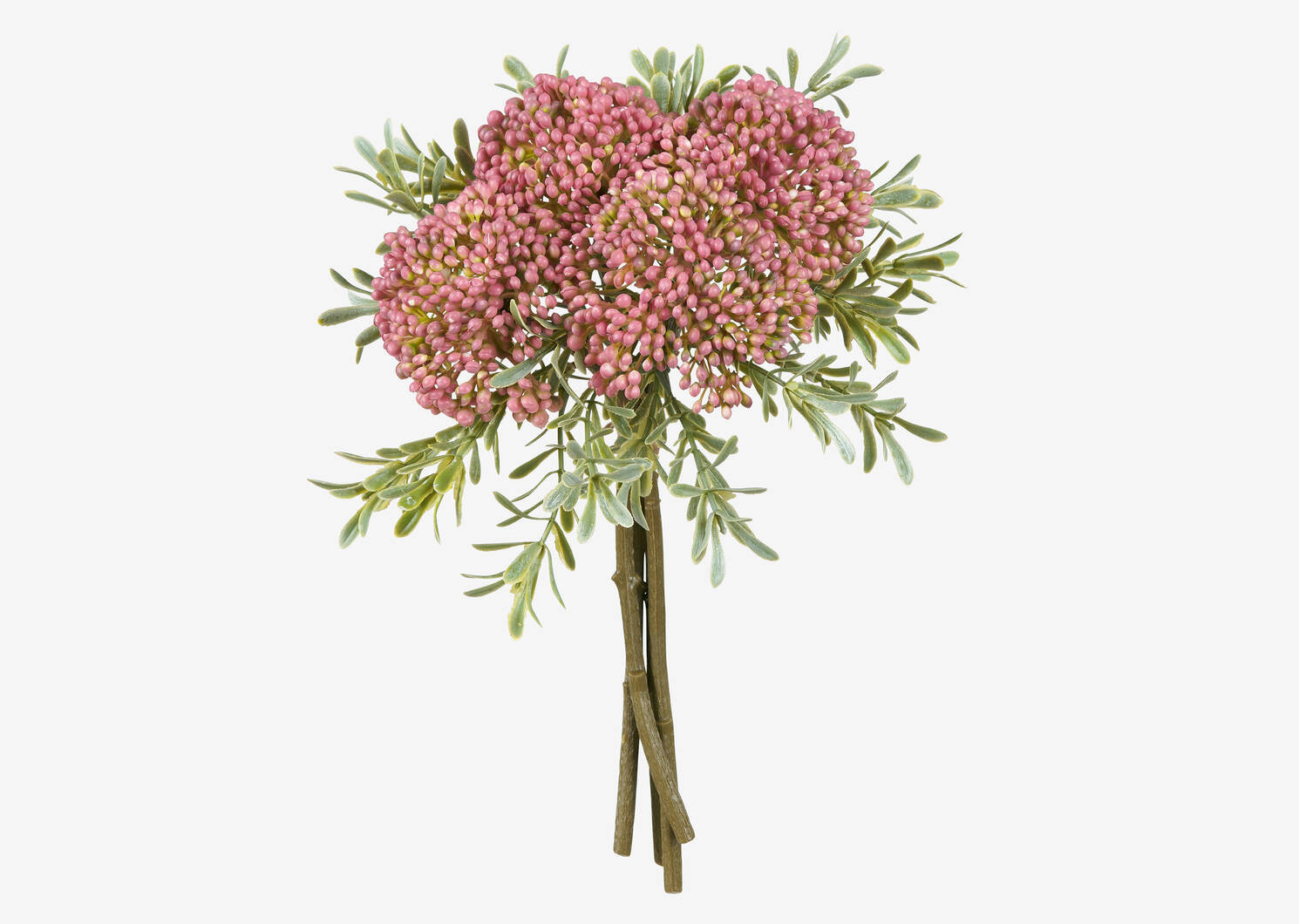 Cami Sedum Bunch Pink | Urban Barn