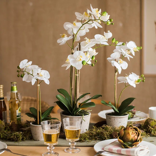 Orchid Floral Arrangement in Pot | Wayfair North America