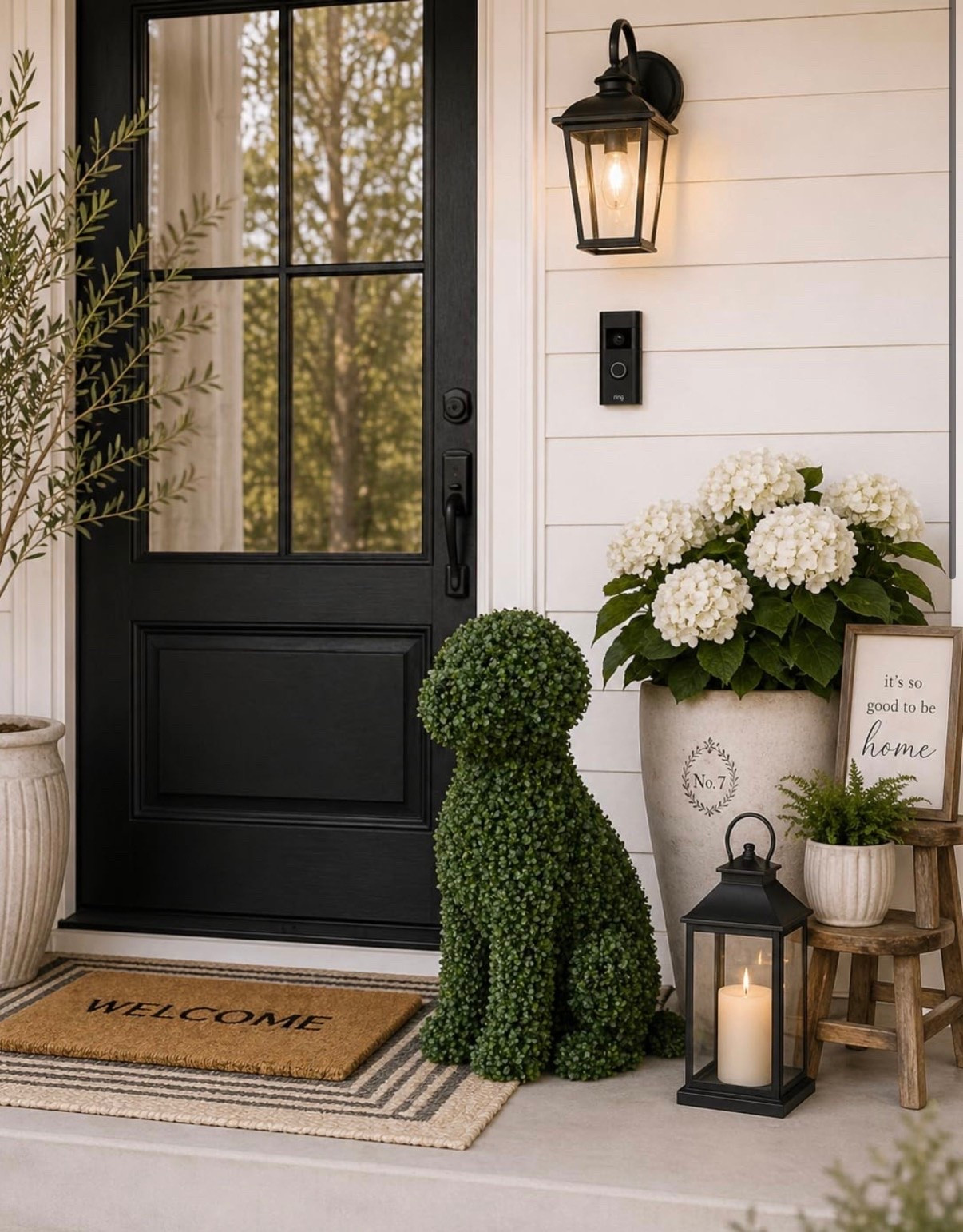 Found the dog plant in stock at Home Depot! 🐶

#LTKSeasonal #LTKHome #LTKdayinmylife