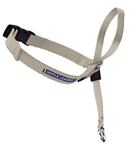 PetSafe Gentle Leader Head Collar with Training DVD, MEDIUM 25-60 LBS., FAWN | Amazon (US)