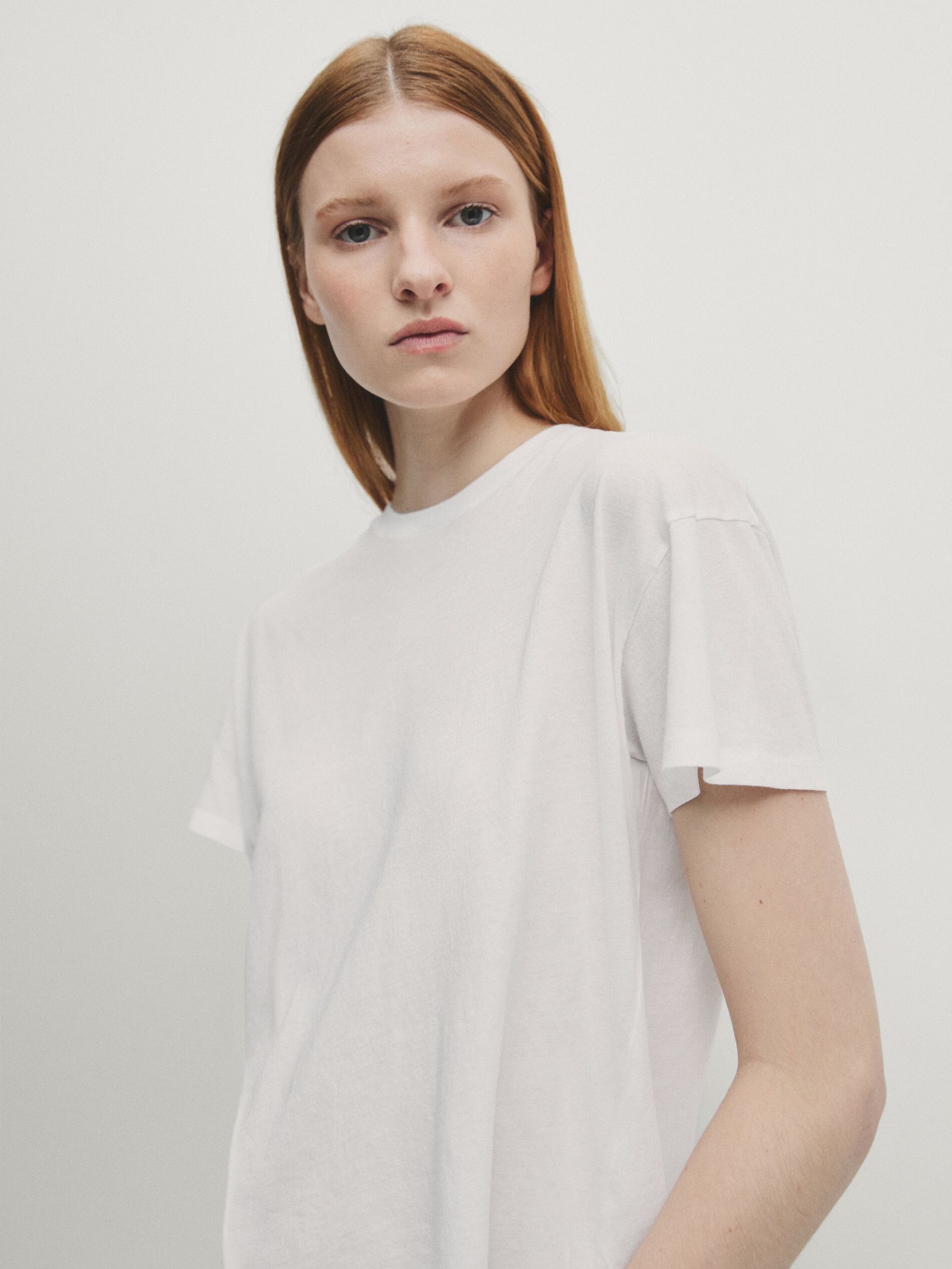 Short sleeve cotton t-shirt | Massimo Dutti (US)