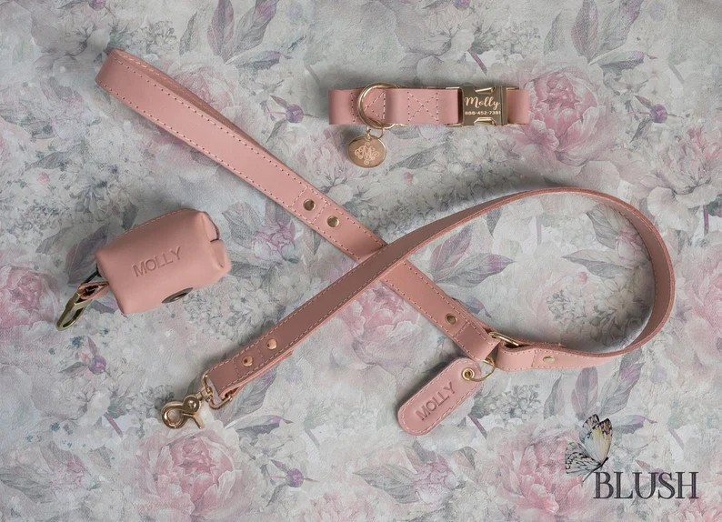 Gold hardware dog leash leather dog leash gold lobster clasp dog leash personalized leather lobst... | Etsy (US)