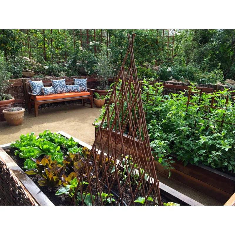 12'' W Wood Trellis | Wayfair North America