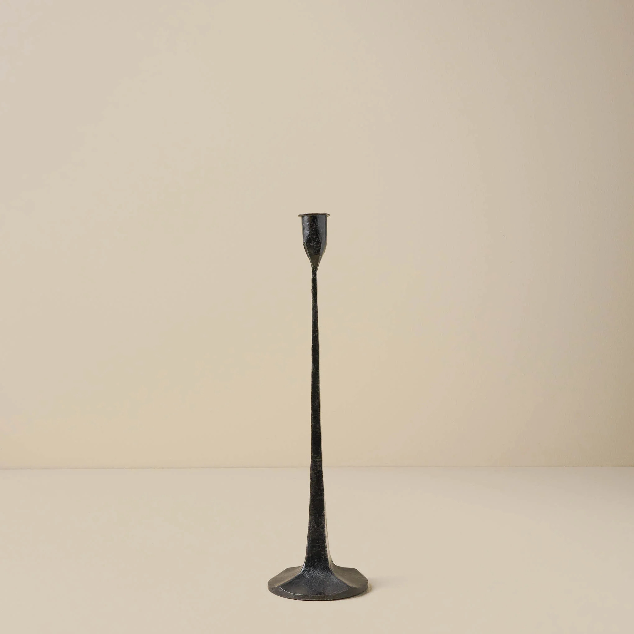 Black Gatecrest | Magnolia