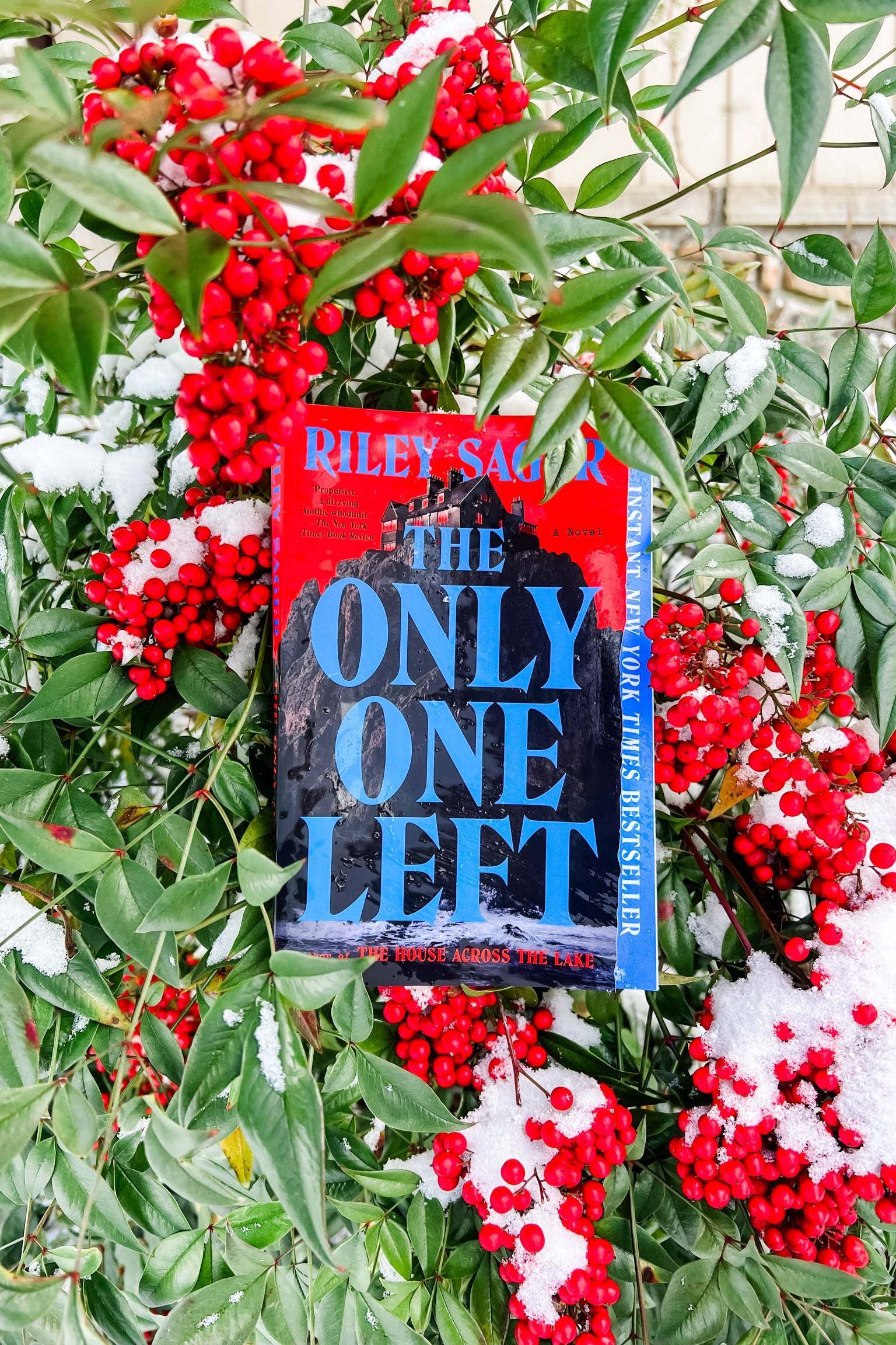 5/5⭐️ 

Love me some Riley Sager!

At seventeen, Lenora Hope
Hung her sister with a rope

Now reduced to a schoolyard chant, the Hope family murders shocked the Maine coast one bloody night in 1929. While most people assume seventeen-year-old Lenora was responsible, the police were never able to prove it. Other than her denial after the killings, she has never spoken publicly about that night, nor has she set foot outside Hope’s End, the cliffside mansion where the massacre occurred.

Stabbed her father with a knife
Took her mother’s happy life

It’s now 1983, and home-health aide Kit McDeere arrives at a decaying Hope’s End to care for Lenora after her previous nurse fled in the middle of the night. In her seventies and confined to a wheelchair, Lenora was rendered mute by a series of strokes and can only communicate with Kit by tapping out sentences on an old typewriter. One night, Lenora uses it to make a tantalizing offer—I want to tell you everything.

“It wasn’t me,” Lenora said
But she’s the only one not dead

As Kit helps Lenora write about the events leading to the Hope family massacre, it becomes clear there’s more to the tale than people know. But when new details about her predecessor’s departure come to light, Kit starts to suspect Lenora might not be telling the complete truth—and that the seemingly harmless woman in her care could be far more dangerous than she first thought.



#LTKFindsUnder50 #LTKHome #LTKMostLoved