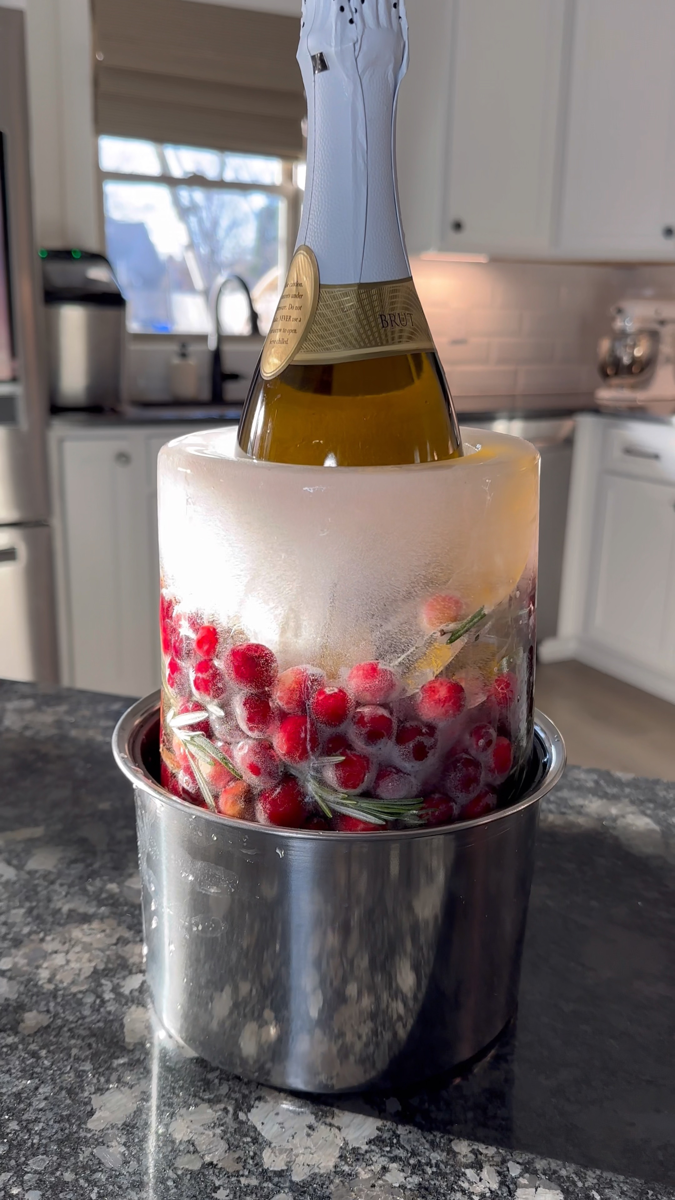 How fun is this ice mold from Amazon? #amazonholidayfinds #holidayfind #amazonfinds 

#LTKHoliday